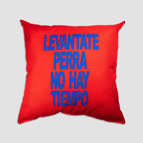 Nathy Peluso, COJÍN LEVÁNTATE PERRA