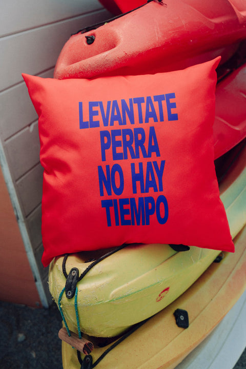 Nathy Peluso, COJÍN LEVÁNTATE PERRA