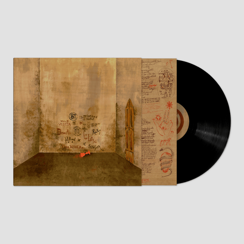 Teo Planell, DEMIAN (Edición en Vinilo)