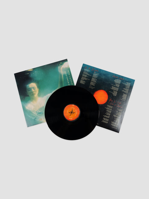 Que se joda todo lo demás (Edición en vinilo)