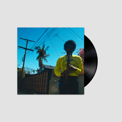 Moving Day (Edición en Vinilo)