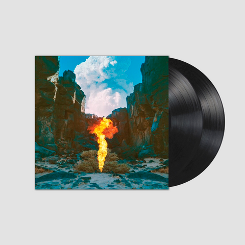 Migration (Edición en Vinilo)