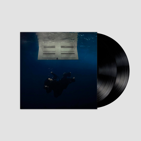 Hit me hard and soft (Standard Recycled Black Vinyl) (Edición en Vinilo)