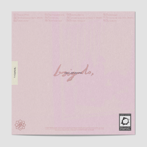 Brigado, (Edición en Vinilo)