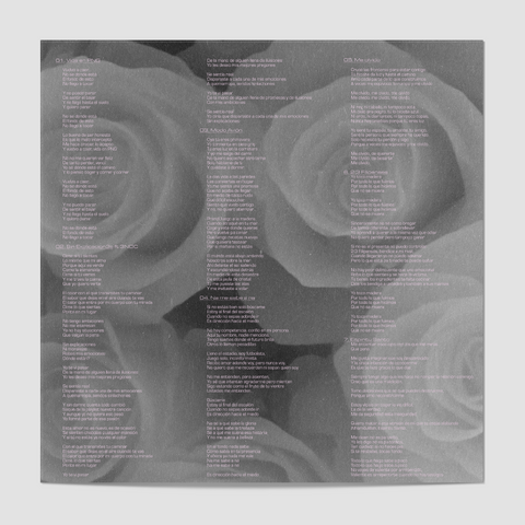 Brigado, (Edición en Vinilo)