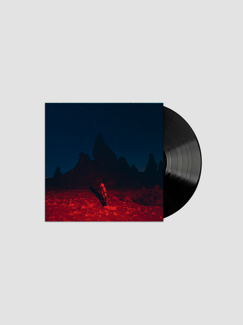 Punisher (Edición en Vinilo)