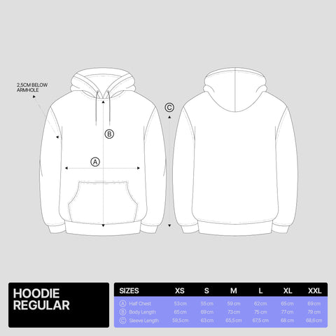Manuel Turizo, Hoodie "201 Tour" Raw
